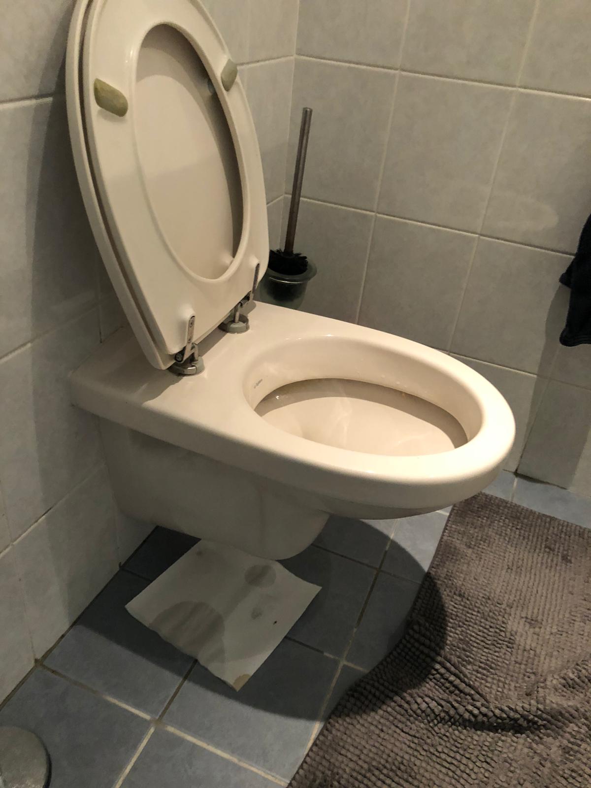 hangtoilet Rhenen